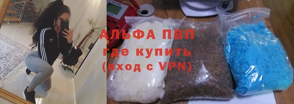 мяу мяу мука Абаза