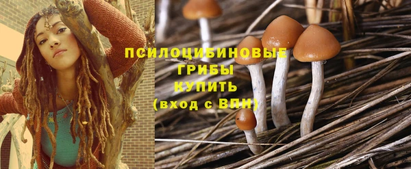 мяу мяу мука Абаза