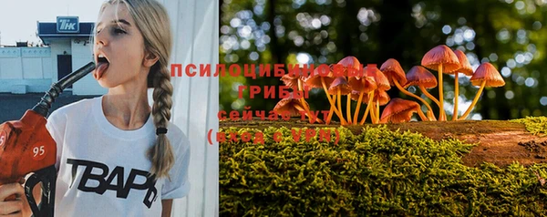 дмт Абдулино